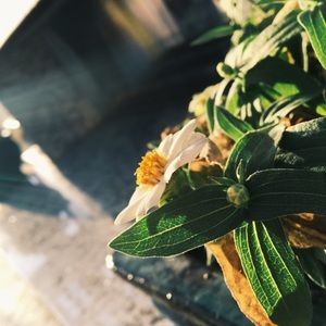 Meet your Posher, Kaylee